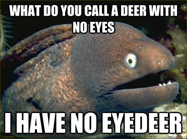 What do you call a deer with no eyes i have no eyedeer  Bad Joke Eel