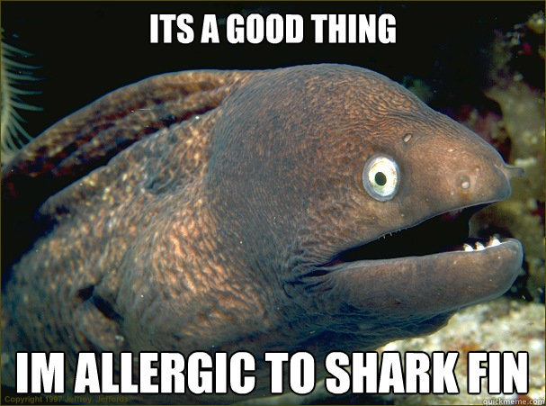 ITS A GOOD THING IM ALLERGIC TO SHARK FIN  Bad Joke Eel