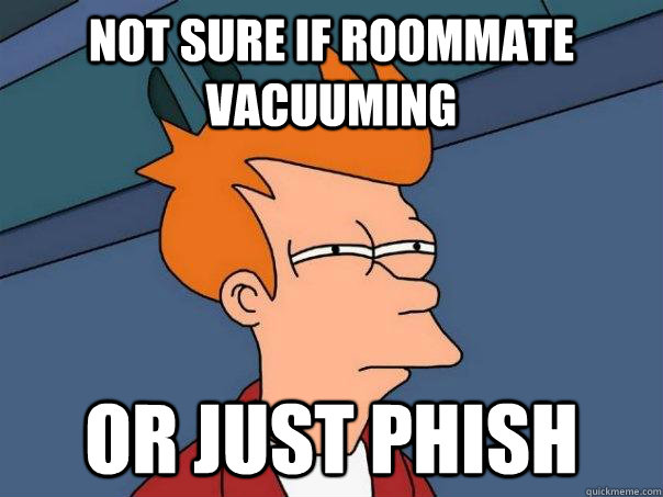 Not sure if roommate vacuuming  Or just Phish  Futurama Fry