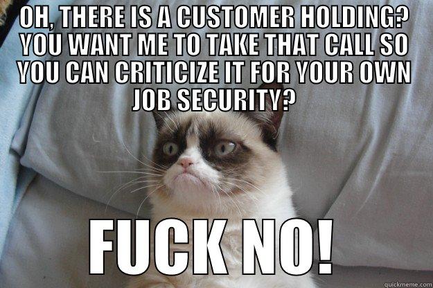 OH, THERE IS A CUSTOMER HOLDING? YOU WANT ME TO TAKE THAT CALL SO YOU CAN CRITICIZE IT FOR YOUR OWN JOB SECURITY? FUCK NO! Grumpy Cat