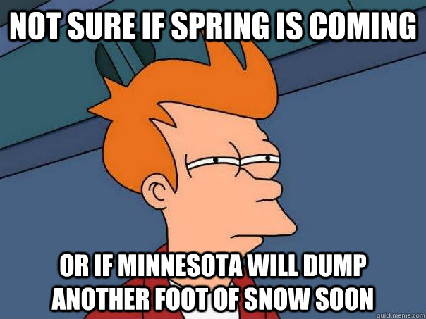 Not sure if Spring is coming Or if Minnesota will dump another foot of snow soon  Futurama Fry