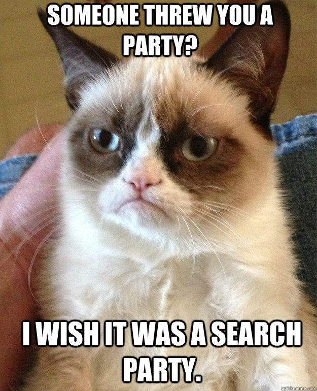 someone-threw-you-a-party-i-wish-it-was-a-search-party-misc-quickmeme