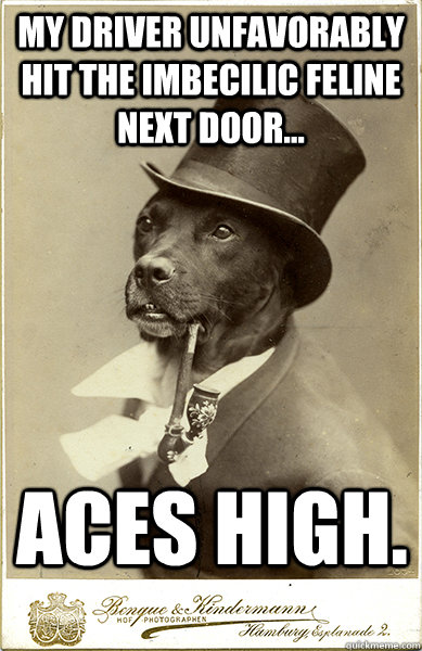 My driver unfavorably hit the Imbecilic feline next door... ACes high.  Old Money Dog