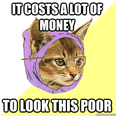 it costs a lot of money to look this poor  Hipster Kitty