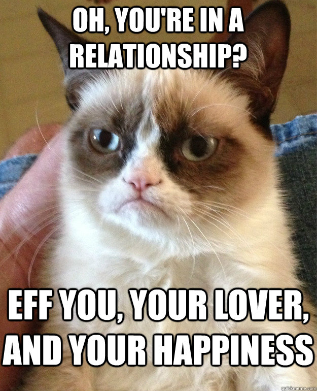 oh, you're in a relationship? EFF you, your lover, and your happiness  Grumpy Cat