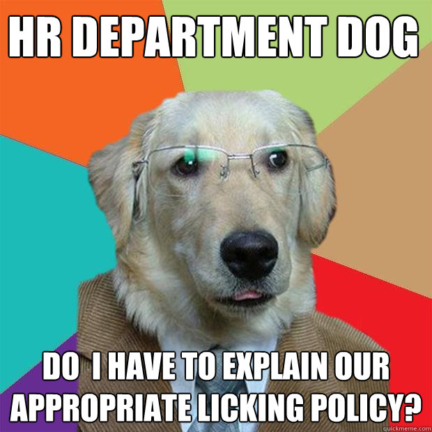 HR Department Dog Do  I have to explain our appropriate Licking policy?  Business Dog