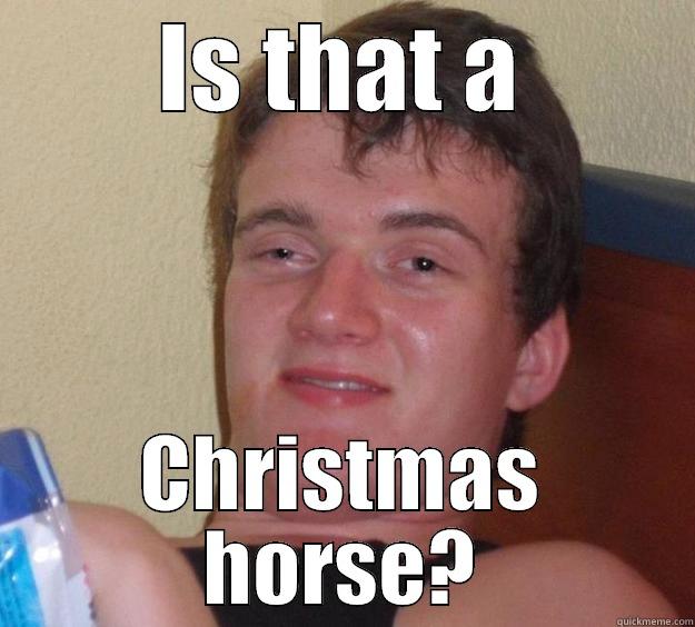 IS THAT A CHRISTMAS HORSE? 10 Guy