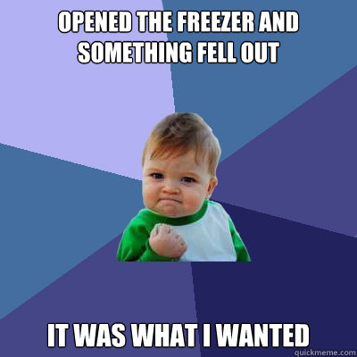 opened the freezer and something fell out it was what I wanted  Success Kid