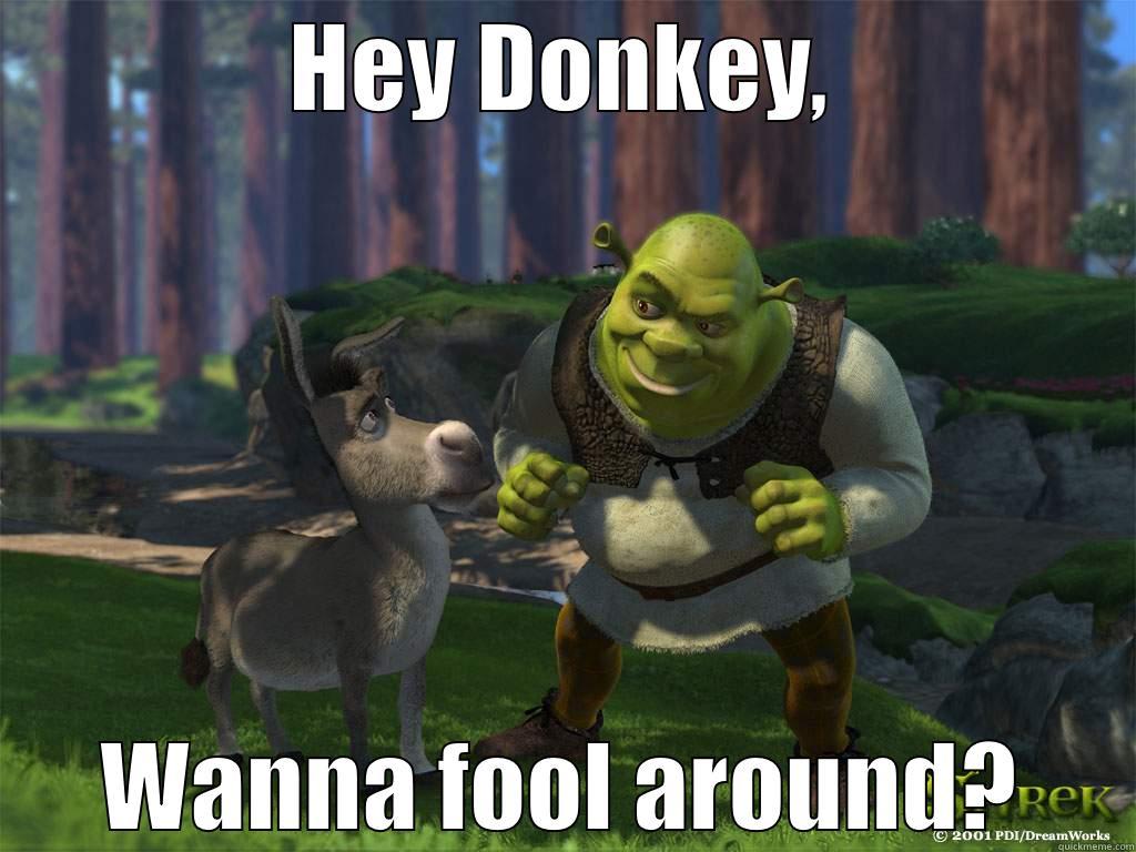 HEY DONKEY, WANNA FOOL AROUND? Misc