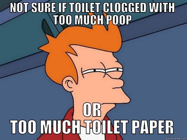 You know what I'm talking about! - NOT SURE IF TOILET CLOGGED WITH TOO MUCH POOP OR TOO MUCH TOILET PAPER Futurama Fry