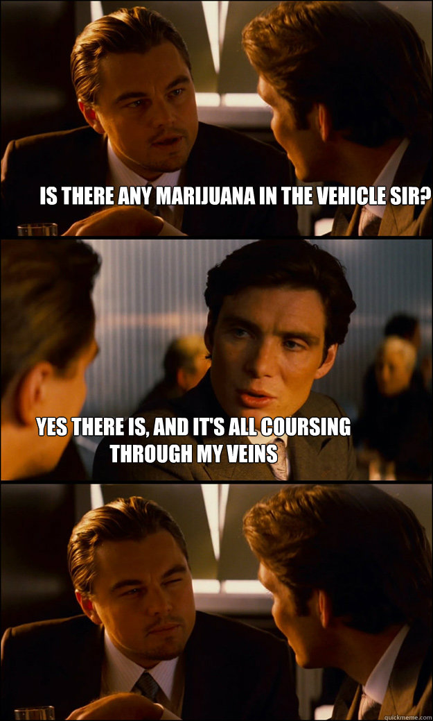 Is there any marijuana in the vehicle sir? Yes there is, and it's all coursing through my veins  Inception