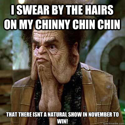 i swear by the hairs on my chinny chin chin that there isnt a natural show in november to win! - i swear by the hairs on my chinny chin chin that there isnt a natural show in november to win!  Ball Chin