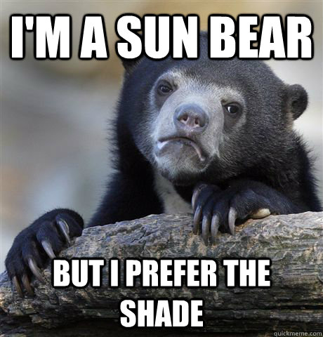 I'm a sun bear but I prefer the shade  Confession Bear