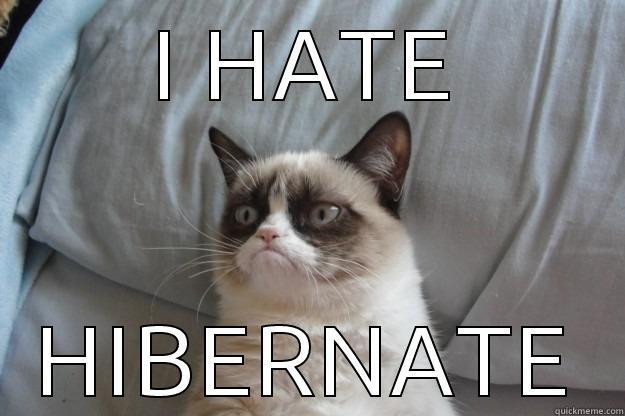 I HATE HIBERNATE Grumpy Cat