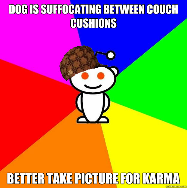 Dog is suffocating between couch cushions Better take picture for karma  - Dog is suffocating between couch cushions Better take picture for karma   Scumbag Redditor