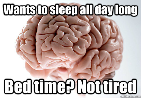 Wants to sleep all day long Bed time? Not tired  Scumbag Brain