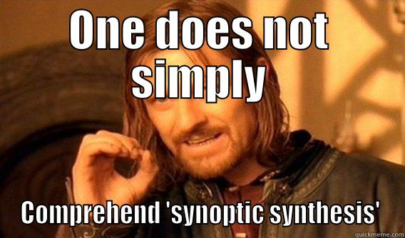 ONE DOES NOT SIMPLY COMPREHEND 'SYNOPTIC SYNTHESIS' One Does Not Simply