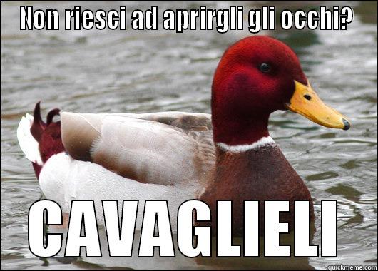 NON RIESCI AD APRIRGLI GLI OCCHI? CAVAGLIELI Malicious Advice Mallard