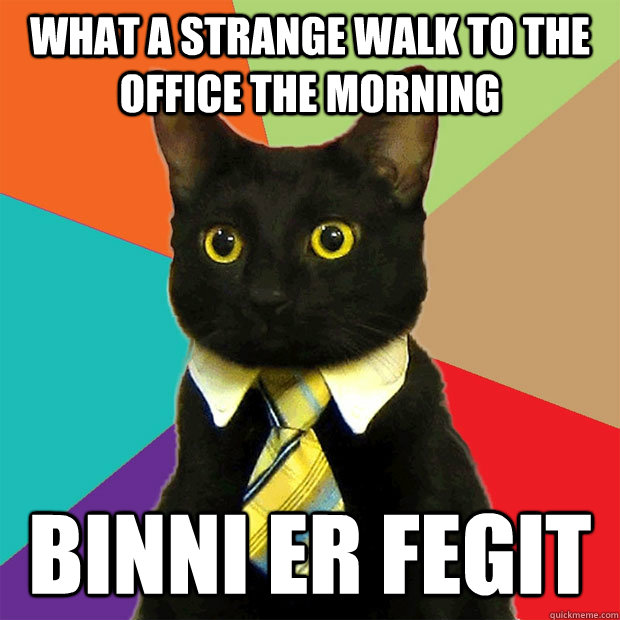 What a strange walk to the office the morning Binni er fegit  Business Cat