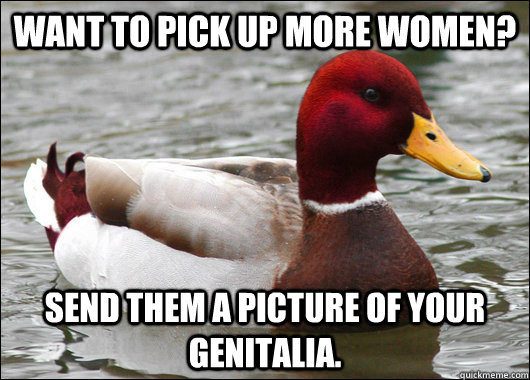 Want to pick up more women? Send them a picture of your genitalia.  Malicious Advice Mallard