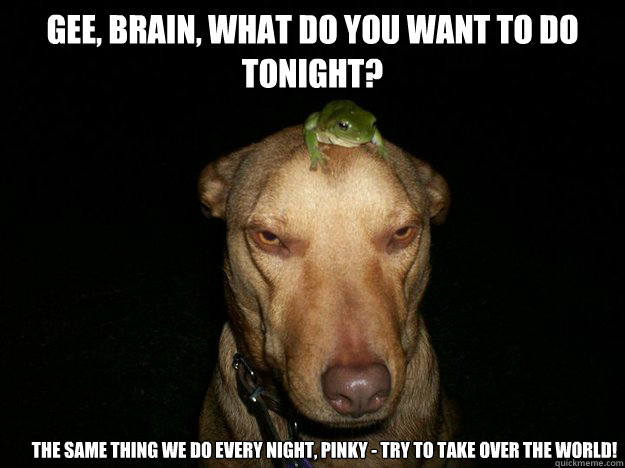 Gee, Brain, what do you want to do tonight? The same thing we do every night, Pinky - try to take over the world! - Gee, Brain, what do you want to do tonight? The same thing we do every night, Pinky - try to take over the world!  Misc