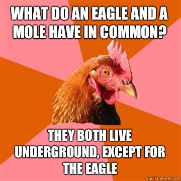 What do an eagle and a mole have in common? They both live underground, except for the eagle   Anti-Joke Chicken