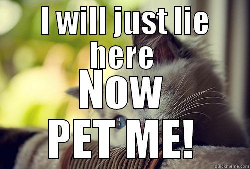 I will just lie here -  I WILL JUST LIE HERE NOW PET ME! First World Problems Cat