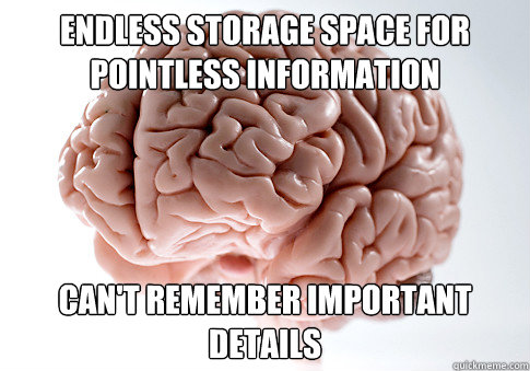 endless storage space for pointless information can't remember important details  Scumbag Brain