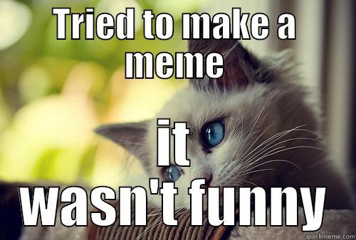 first world problems cat - TRIED TO MAKE A MEME IT WASN'T FUNNY First World Problems Cat