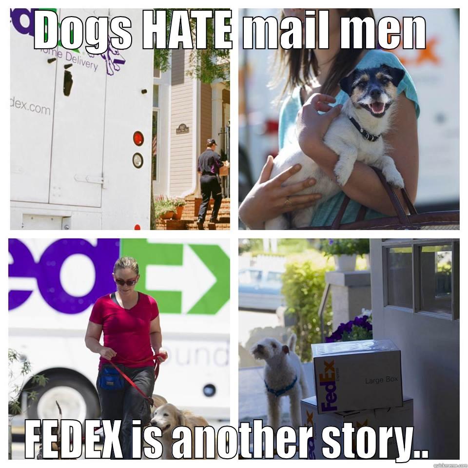 fed ex - DOGS HATE MAIL MEN FEDEX IS ANOTHER STORY..  Misc