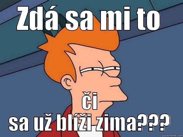 ZDÁ SA MI TO ČI SA UŽ BLÍŽI ZIMA??? Futurama Fry