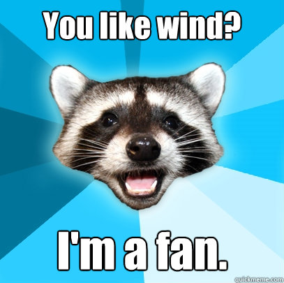 You like wind? I'm a fan.  Lame Pun Coon