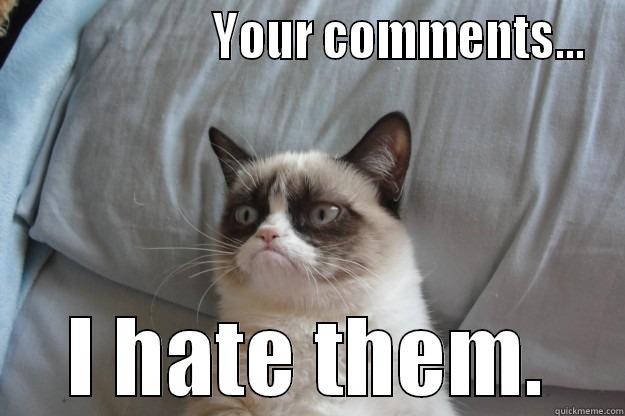                     YOUR COMMENTS... I HATE THEM. Grumpy Cat