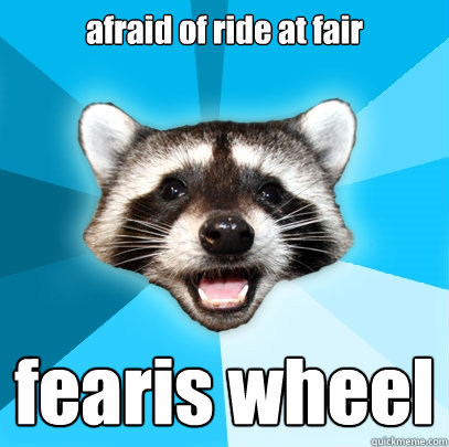 afraid of ride at fair fearis wheel - afraid of ride at fair fearis wheel  Lame Pun Coon