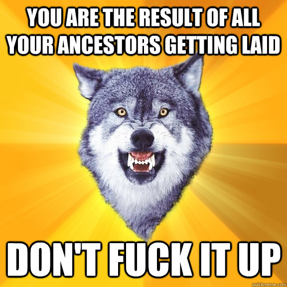 you are the result of all your ancestors getting laid don't fuck it up  Courage Wolf