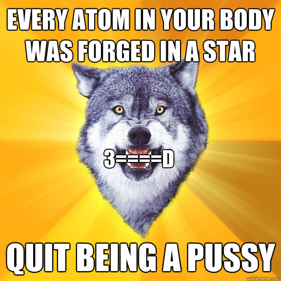 every atom in your body was forged in a star quit being a pussy 3====D  Courage Wolf