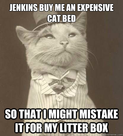 Jenkins buy me an expensive cat bed so that i might mistake it for my litter box  Aristocat