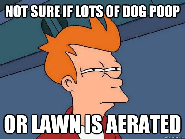 Not sure if lots of dog poop Or lawn is aerated  Futurama Fry