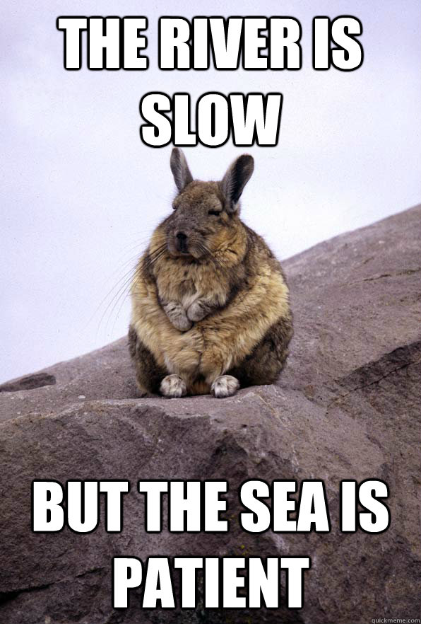 the river is slow but the sea is patient  Wise Wondering Viscacha