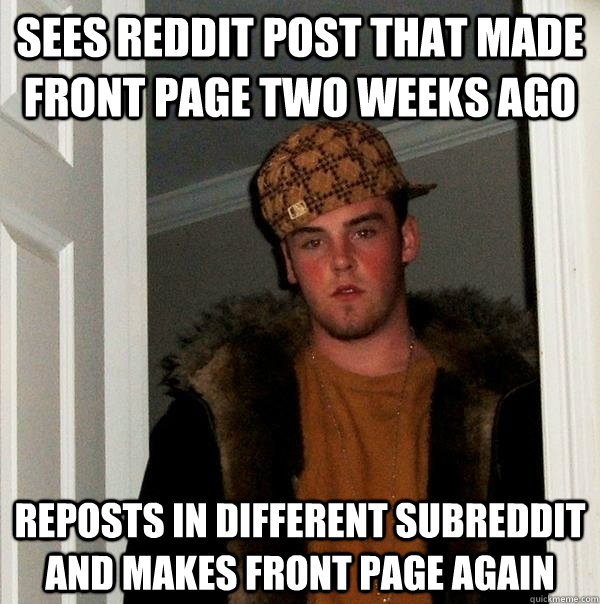 sees reddit post that made front page two weeks ago reposts in different subreddit and makes front page again  Scumbag Steve