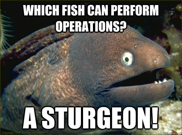 Which fish can perform operations? A Sturgeon!  Bad Joke Eel