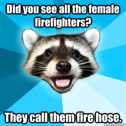 Did you see all the female firefighters? They call them fire hose.  Lame Pun Coon