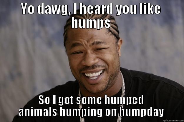 YO DAWG, I HEARD YOU LIKE HUMPS SO I GOT SOME HUMPED ANIMALS HUMPING ON HUMPDAY Xzibit meme