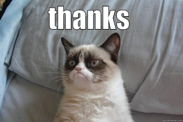 WHATEVER LOSER - THANKS  Grumpy Cat