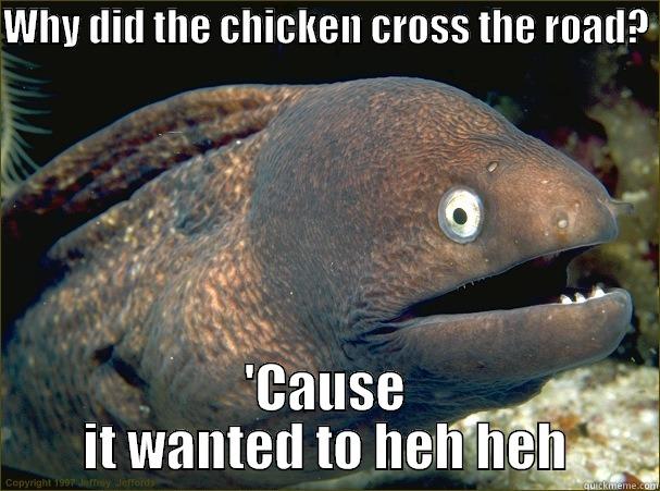 WHY DID THE CHICKEN CROSS THE ROAD?   'CAUSE IT WANTED TO HEH HEH Bad Joke Eel