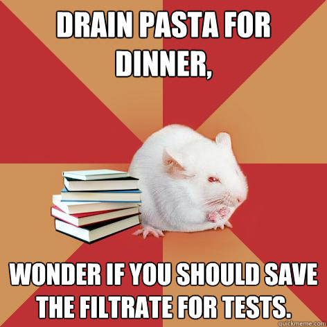 Drain Pasta for Dinner, Wonder if you should save the filtrate for tests. - Drain Pasta for Dinner, Wonder if you should save the filtrate for tests.  Science Major Mouse