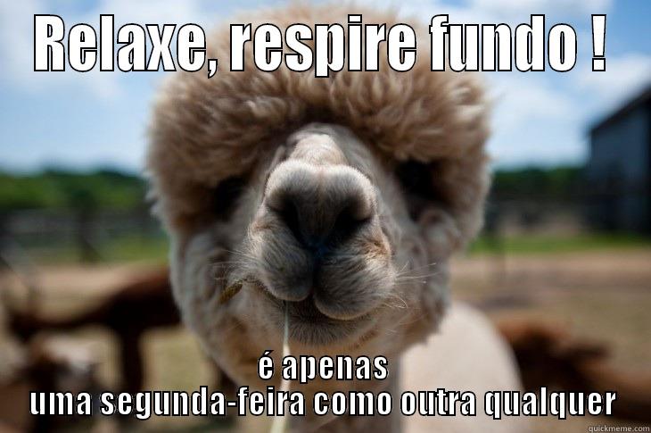 RELAXE, RESPIRE FUNDO ! É APENAS UMA SEGUNDA-FEIRA COMO OUTRA QUALQUER Misc