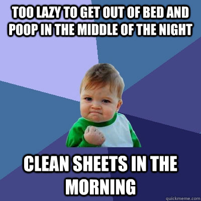 too lazy to get out of bed and poop in the middle of the night clean sheets in the morning  Success Kid