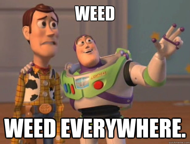 WEED WEED everywhere.  Toy Story