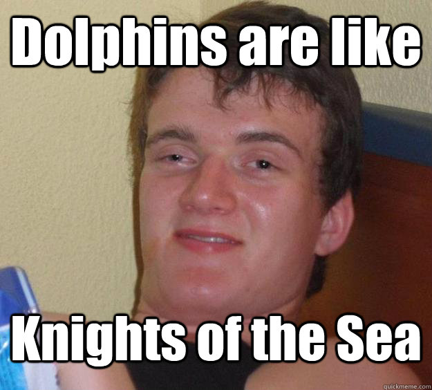 Dolphins are like Knights of the Sea  10 Guy